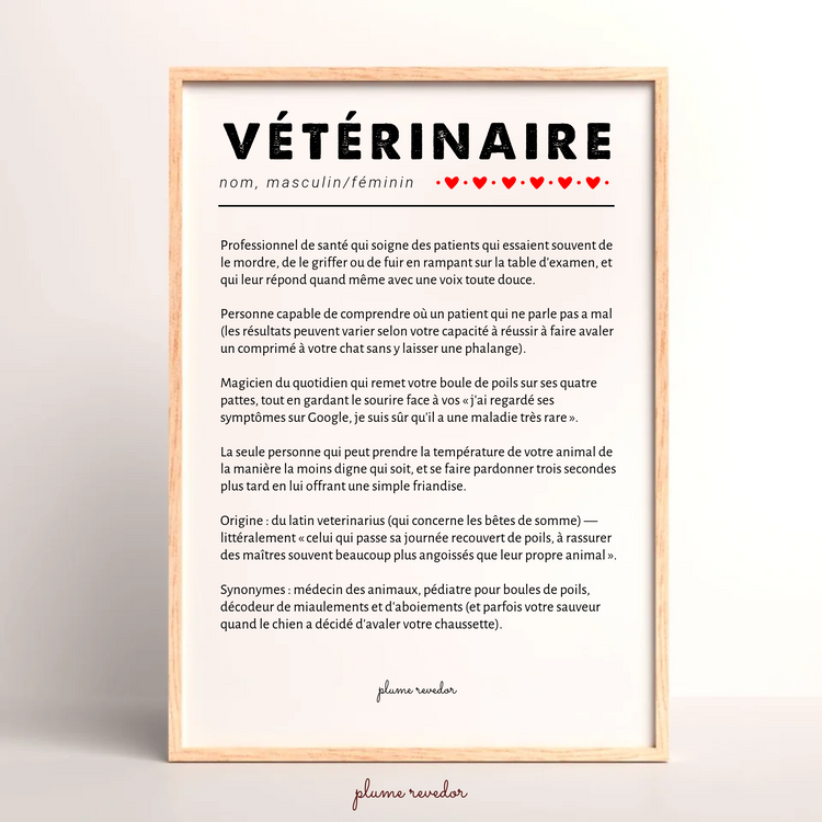 Cadeau vétérinaire personnalisé - affiche déco clinique vétérinaire