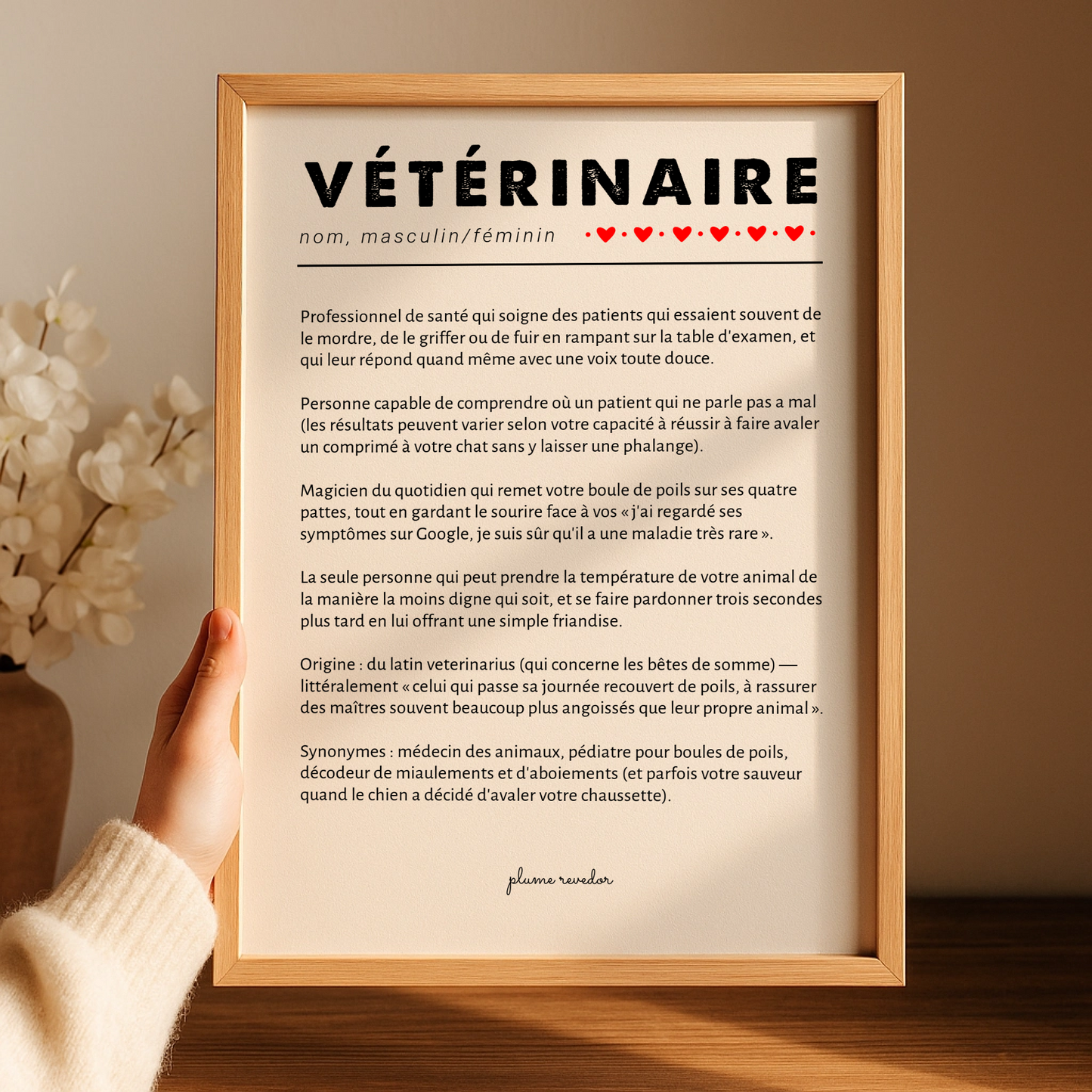 Déco salle d'attente vétérinaire